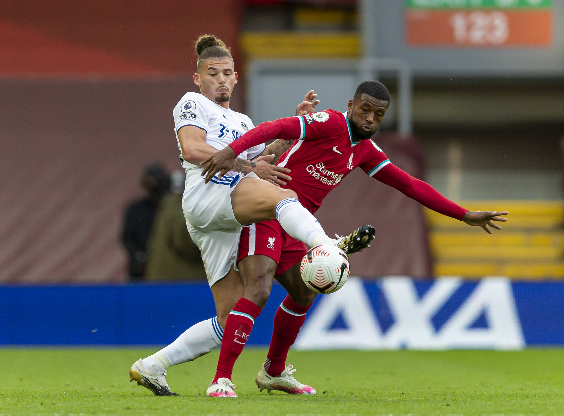 如果这种不 如果这种不