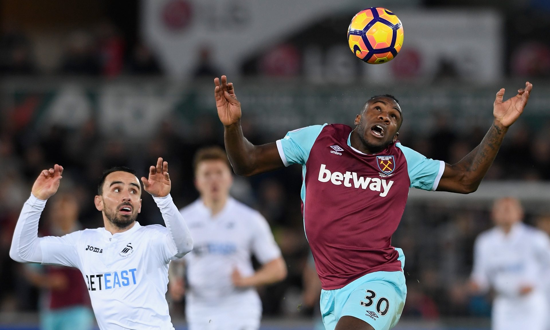 莱昂纳多 莱昂纳多